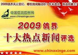 人 今日十大热点新闻,盘点十大热点新闻，洞察社会脉动