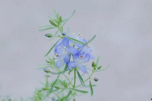 有哪些潜规则是中国人共识的 吃瓜爆料每日大赛最新动态,吃瓜爆料大赛最新风向标