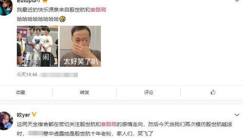 网红黑料是什么意思 社会热点新闻事件及点评,社会热点事件背后的真相与反思