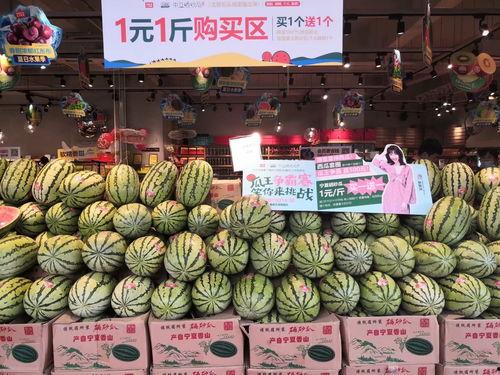 吃瓜网官网 吃瓜爆料短剧吃瓜爆料大赛每日聚集地,揭秘吃瓜爆料短剧大赛，每日热点聚集地