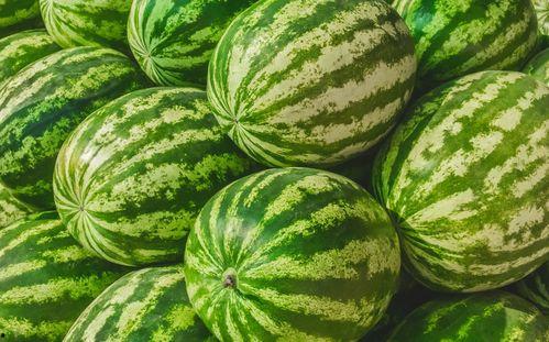 吃瓜网官网 吃瓜爆料短剧吃瓜爆料大赛每日聚集地,揭秘吃瓜爆料短剧大赛，每日热点聚集地