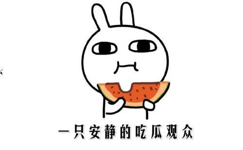 吃瓜是什么意思,网络热词背后的文化现象